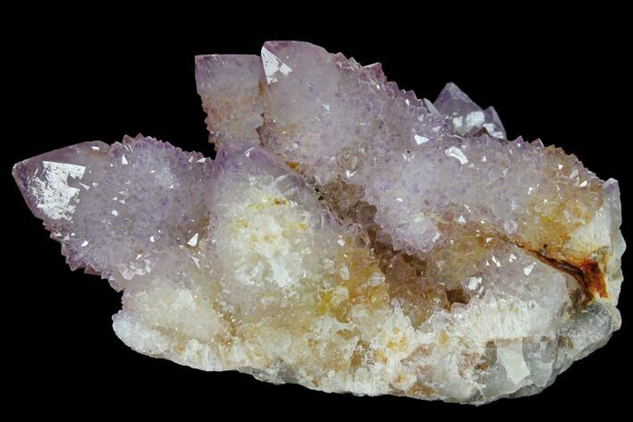 Cactus Quartz (Amethyst) Crystal Cluster - South Africa #132515